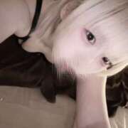 ヒメ日記 2026/02/19 19:41 投稿 こころ もしもし亀よ亀さんよ 名古屋店