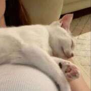 ヒメ日記 2025/12/24 21:12 投稿 南野さくら お姉さんCLUB