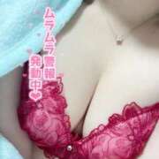 ヒメ日記 2025/11/15 14:30 投稿 めるな 桃李（とうり）