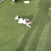 ヒメ日記 2025/11/07 19:16 投稿 はな 千葉SMクラブ女王様とM男