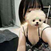 ヒメ日記 2025/12/14 05:53 投稿 しゅな 東京メンズエステ-TokyoMensEsthe-