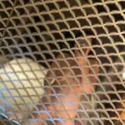 ヒメ日記 2025/12/02 15:53 投稿 かなみ 熟女の風俗最終章 新潟店