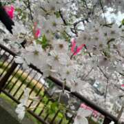 ヒメ日記 2026/04/05 11:11 投稿 かなみ 熟女の風俗最終章 新潟店