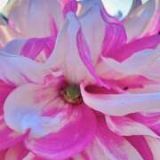 ヒメ日記 2025/10/10 10:31 投稿 Hana(はな） AMATERAS(アマテラス)(福山)