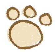 ヒメ日記 2025/10/20 19:48 投稿 かなた 新小岩デリヘル ラブセレクション