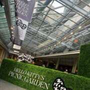 ヒメ日記 2025/11/07 14:10 投稿 柚乃(ゆの) チューリップ宇都宮店