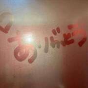 ヒメ日記 2025/11/12 10:19 投稿 柚乃(ゆの) チューリップ宇都宮店