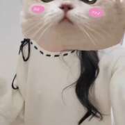 ヒメ日記 2025/11/27 12:34 投稿 かなめ 町田人妻城