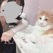 ヒメ日記 2026/06/01 15:11 投稿 かなめ 町田人妻城