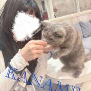 ヒメ日記 2026/08/12 15:40 投稿 かなめ 町田人妻城