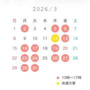 ヒメ日記 2026/02/24 09:32 投稿 森下彩花 プルデリR40