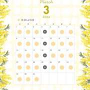 みこ ３月の予定です💕 優しいM性感 五反田