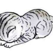 ヒメ日記 2025/10/15 14:26 投稿 シホ Club Hearts