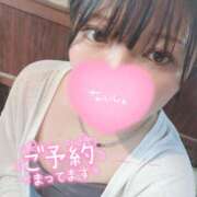 せしる しゅっきんしてるよーっ ちゃんこ大阪十三