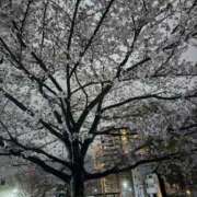 ヒメ日記 2026/04/06 20:05 投稿 永月ねる すべりん棒シャンプー娘。（横浜ハレ系）