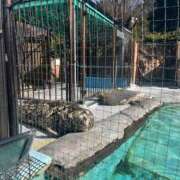 ヒメ日記 2025/10/05 16:00 投稿 近藤 鶯谷人妻城