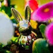 ヒメ日記 2025/10/14 14:06 投稿 黒石りず 五十路マダム 浜松店(カサブランカグループ)