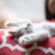 ヒメ日記 2025/10/21 07:52 投稿 黒石りず 五十路マダム 浜松店(カサブランカグループ)