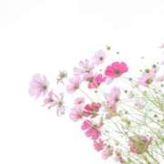 ヒメ日記 2025/10/21 19:28 投稿 黒石りず 五十路マダム 浜松店(カサブランカグループ)