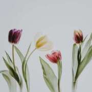 ヒメ日記 2025/11/07 10:06 投稿 黒石りず 五十路マダム 浜松店(カサブランカグループ)