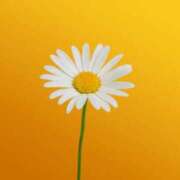 ヒメ日記 2025/11/10 09:44 投稿 黒石りず 五十路マダム 浜松店(カサブランカグループ)