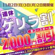 ヒメ日記 2025/11/02 14:04 投稿 熟女  ゆみ ハナミズキ