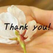 ヒメ日記 2025/11/03 16:28 投稿 熟女  ゆみ ハナミズキ