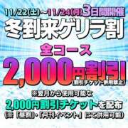 ヒメ日記 2025/11/23 11:30 投稿 熟女  ゆみ ハナミズキ