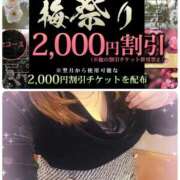 ヒメ日記 2026/02/22 11:14 投稿 熟女  ゆみ ハナミズキ