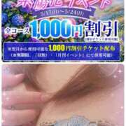 熟女  ゆみ こんにちは♪ ハナミズキ
