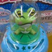 ヒメ日記 2025/10/11 20:02 投稿 ことみ 池袋サンキュー