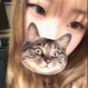 ヒメ日記 2025/10/14 14:53 投稿 ことみ 池袋サンキュー