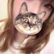 ことみ ﾁｬｰ( 'ω')ﾊﾝ 池袋サンキュー