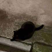 ヒメ日記 2026/01/06 12:17 投稿 りんご 大宮人妻デリヘル～大人の事情～