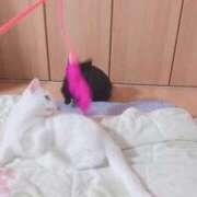 ヒメ日記 2026/02/22 17:55 投稿 りんご 大宮人妻デリヘル～大人の事情～