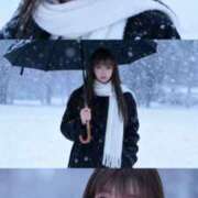 ヒメ日記 2025/11/06 09:34 投稿 せり マリン土浦本店