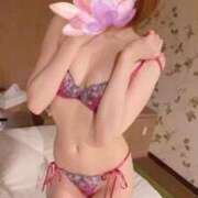 ヒメ日記 2025/11/29 21:15 投稿 のあ 桜sakura(名古屋)