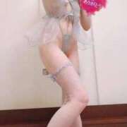 ヒメ日記 2026/03/28 13:55 投稿 のあ 桜sakura(名古屋)