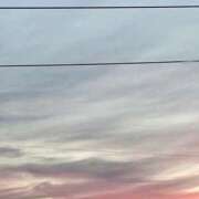 ヒメ日記 2025/10/07 19:57 投稿 せり 千葉人妻花壇