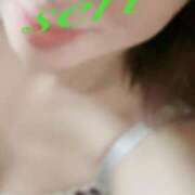 ヒメ日記 2025/10/26 07:46 投稿 せり 千葉人妻花壇