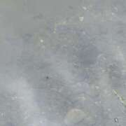 ヒメ日記 2025/11/03 22:38 投稿 せり 千葉人妻花壇