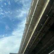 ヒメ日記 2025/12/11 12:02 投稿 せり 千葉人妻花壇