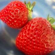 ヒメ日記 2026/02/25 12:17 投稿 せり 千葉人妻花壇