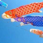 せり 恋 千葉人妻花壇