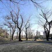 ヒメ日記 2026/01/21 08:47 投稿 中西ふみ 東京不倫 渋谷店