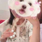 ヒメ日記 2025/10/09 17:53 投稿 あや ラブレター