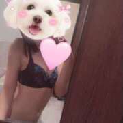 ヒメ日記 2025/10/17 01:45 投稿 あや ラブレター