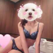 ヒメ日記 2025/10/21 14:29 投稿 あや ラブレター