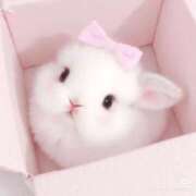 こころ 2:00~お兄様♡ ピンクコレクション大阪