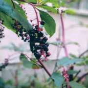 ヒメ日記 2025/10/10 09:25 投稿 なつみ 横浜おかあさん